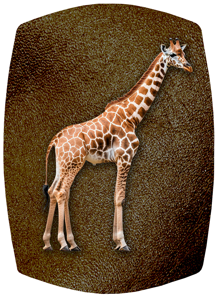 Giraffe PROOF1